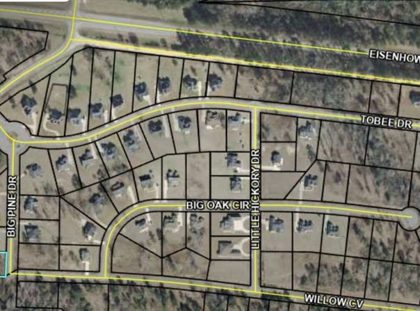 207 Big Pine Drive, Lizella, GA 31052
