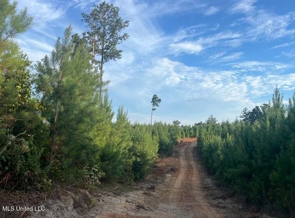 Ms Hwy 540, Braxton, MS 39044