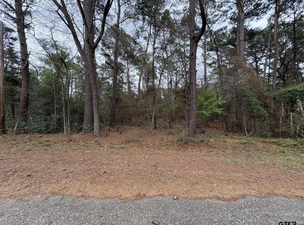 142 Timber Bluff Rd, Bullard, TX 75757