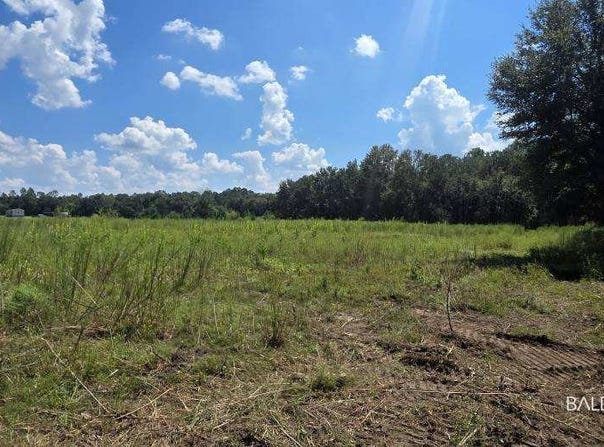 21373 Ima Brill Loop, Robertsdale, AL 36567