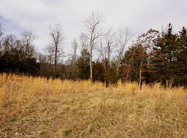 OAKRIDGE DRIVE lot: 20, Gepp, AR 72538