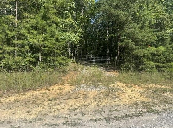 Parkstown Ext lot: 70, Wilder, TN 38589