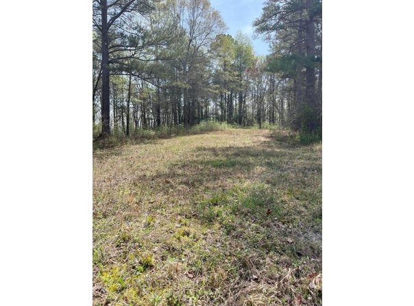 0 PARCEL#2 BECK Dr, Double Springs, AL 35553