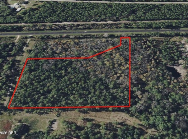 S Us Hwy 17, Pierson, FL 32180