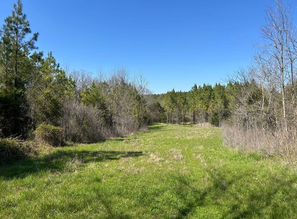 0 Camargo Rd, Nettleton, MS 38858