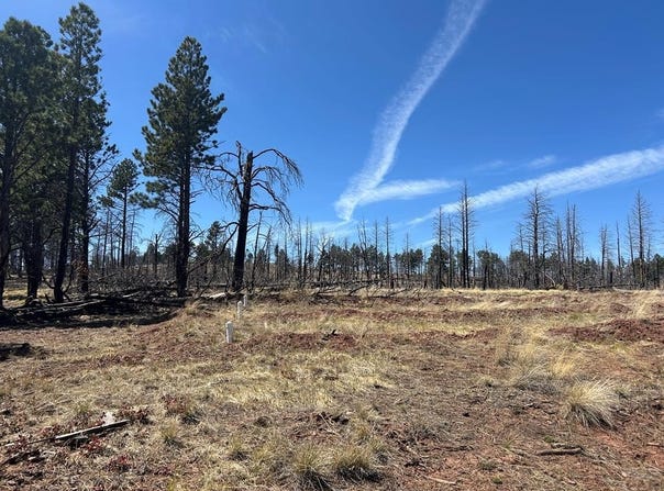 Forbes Pk lot: 542, Fort Garland, CO 81133