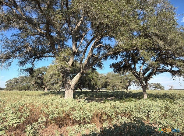 1665 Garrett Road, Yoakum, TX 77995