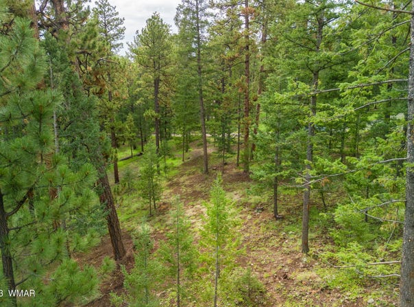 29 N1068, Greer, AZ 85927