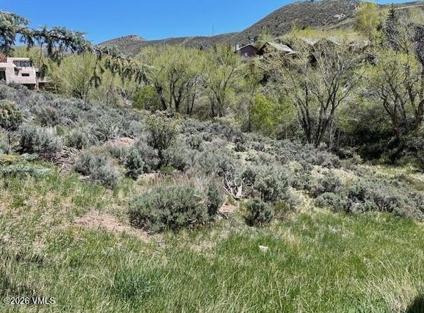 360 Singletree Road, Edwards, CO 81632