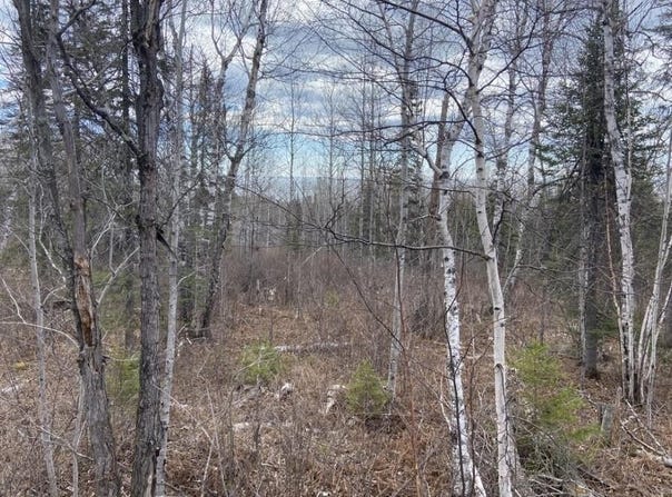 Aspen Lane, Silver Bay, MN 55614