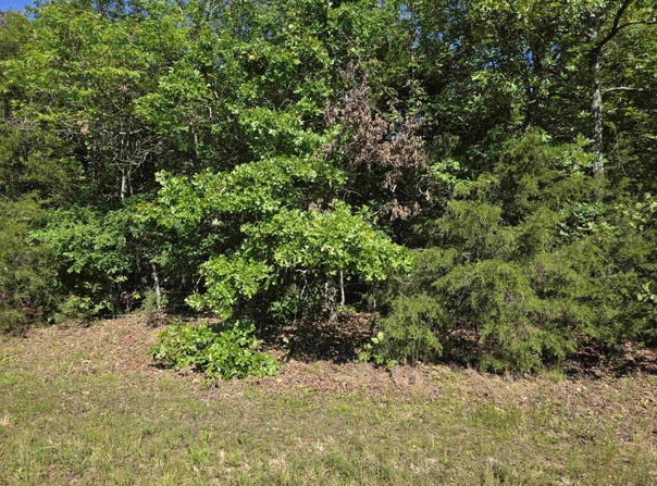 L-52 Barnes Road, Evening Shade, AR 72532
