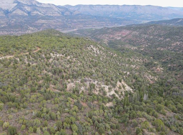 X 1/2 Road, De Beque, CO 81630