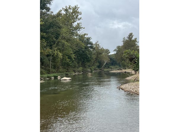 County Road 169, Brixey, MO 65618