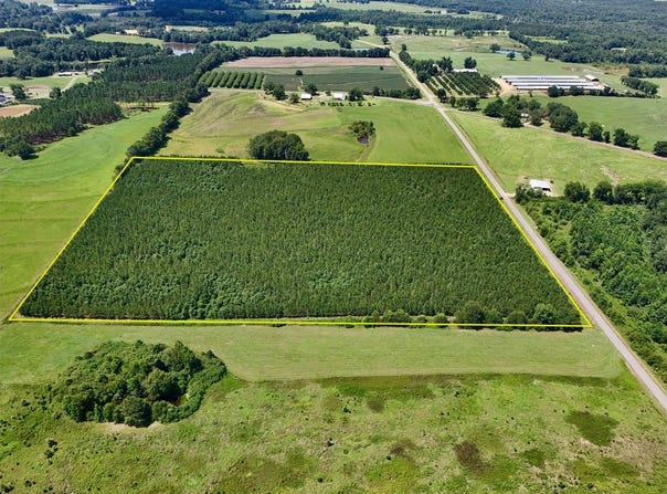 0 Edgefield Road, Clayton, AL 36016