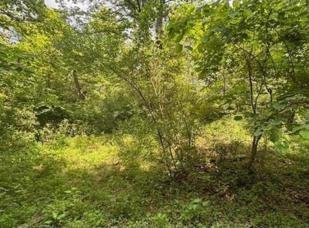 14500 Wolfe Road, Amesville, OH 45711