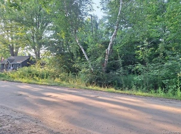 Birchwood Road, Worth Twp, MI 48450