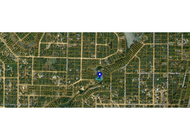 Long Circle, Webster, FL 33597