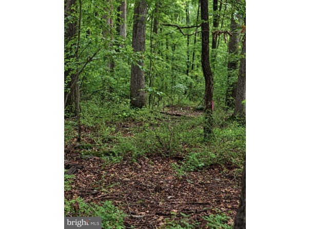 BOULDER Road, UPPER BLACK EDDY, PA 18972