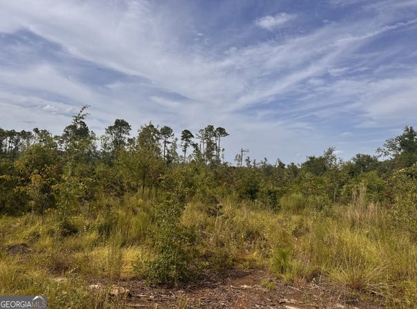 489 New Normantown Road, Vidalia, GA 30474