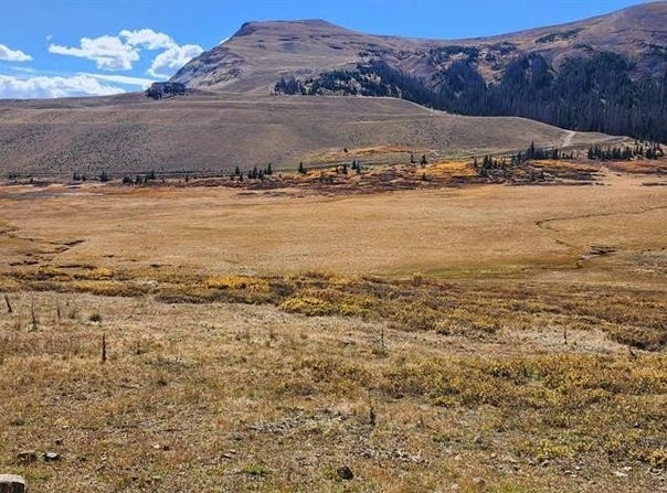 Forest Service Road 330, South Fork, CO 81154