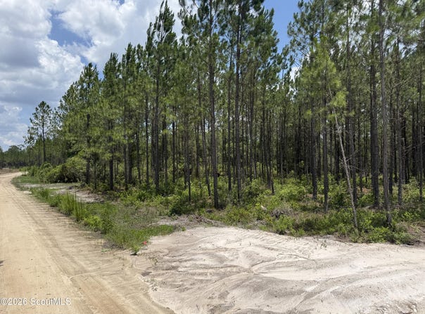 Corbitt Road lot: 5, Manor, GA 31550