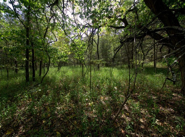 Tract 4 Simpson Rd, Urbana, MO 65767