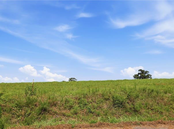 TBD Tract 3 Llewellyn Loop lot: 3, Hector, AR 72843