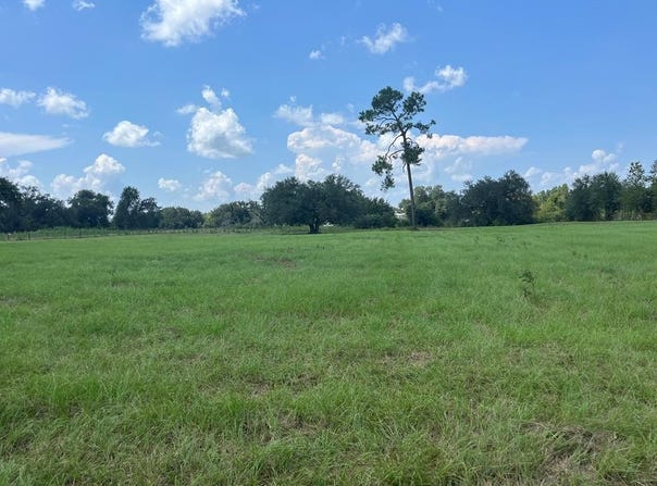 672 and 676 E CRAWFORD ST, Colquitt, GA 39837