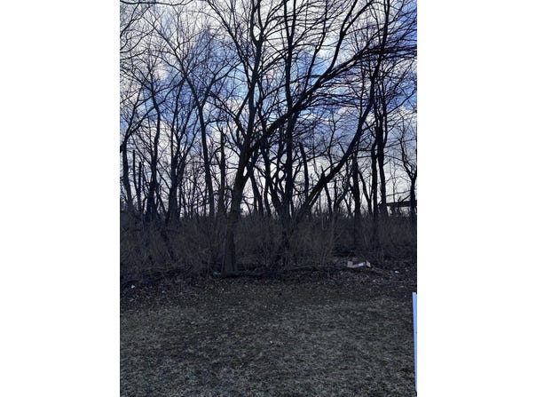 1859 Erin Lane, Morris, IL 60450