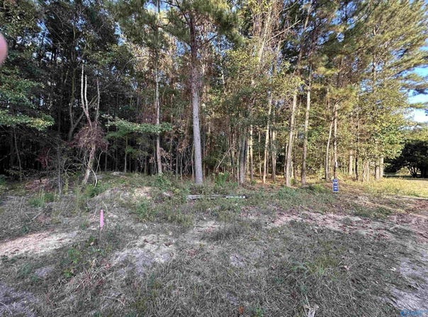 24 County Road 1011, Centre, AL 35960