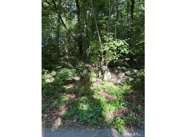 Cobbs Mill Road, Wilton, CT 06897