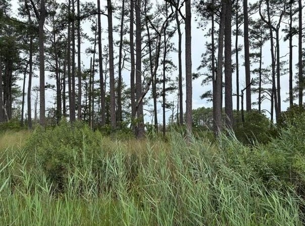 RIDGE RD lot: 9, BLOXOM, VA 23308