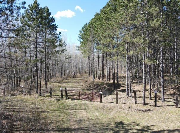 TBD (164.21AC) Maple Grove Road, Cloquet, MN 55720