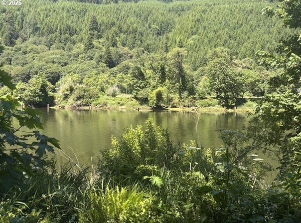 Sweet Creek Road, Mapleton, OR 97453
