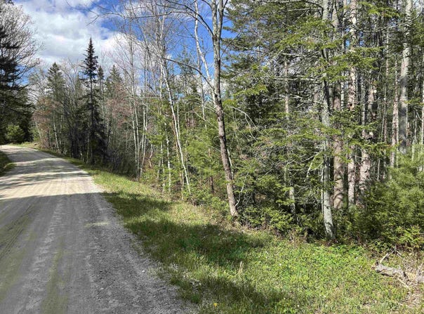 Boynton Road, Londonderry, VT 05148