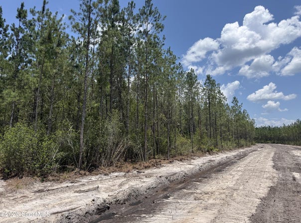Corbitt Road lot: 8, Manor, GA 31550
