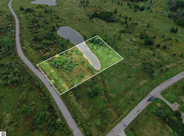 6436 Lora Bette Drive, Alanson, MI 49706