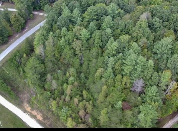 Bear Hollow Rd, Oneida, TN 37841