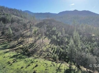 480 Oak Ranch Rd, Lewiston, CA 96052