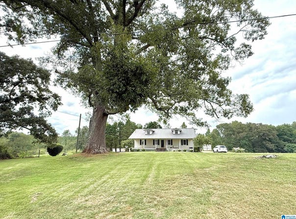 20480 COUNTY ROAD 59, NEWELL, AL 36280