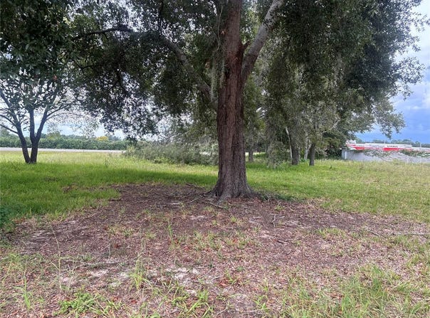 STATE ROAD 19, TAVARES, FL 32778