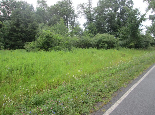 W Muskrat Road, Sidney, MI 48885