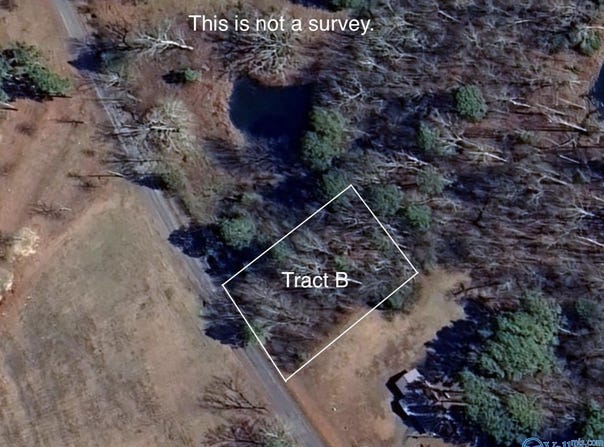 Tract B Hammonds Road, Fyffe, AL 35971