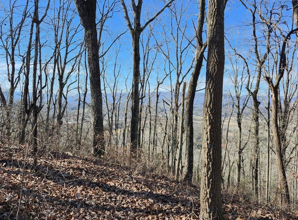 Rector Road lot: 11.5 Ac, Jasper, TN 37347