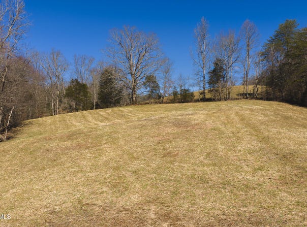 100 Acres Sutton Hollow Road, Sneedville, TN 37869
