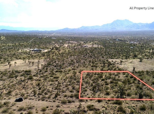 319-08-217 N KENMORE Drive, Dolan Springs, AZ 86441