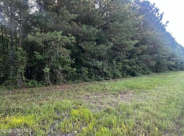 0 Highway 12 E lot: 5-3, Steens, MS 39766