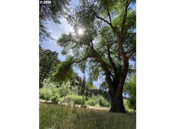 74170 Imnaha Highway, Joseph, OR 97846