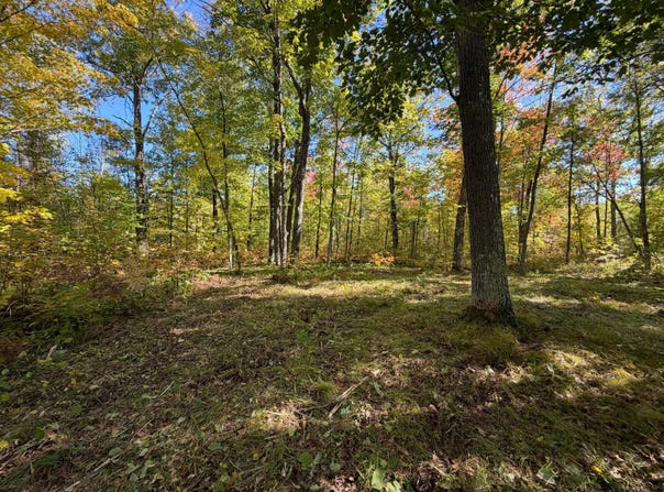 110th, Sturgeon Lake, MN 55783