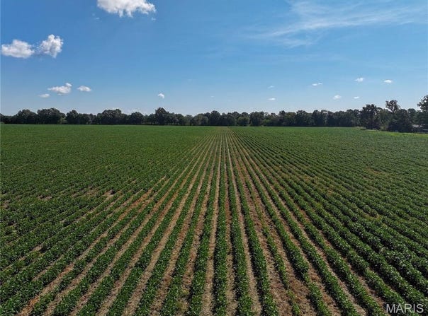 36996 State Highway 53, Campbell, MO 63933